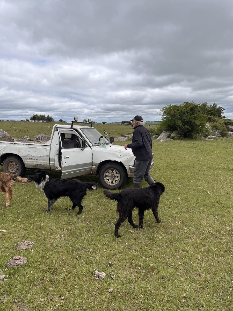 El productor junto a su camioneta y sus perros en el campo